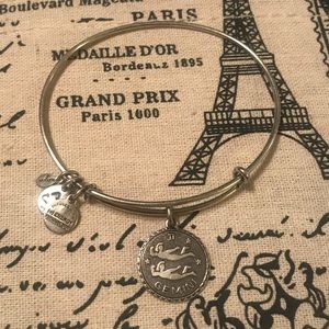Alex and Ani Gemini bracelet